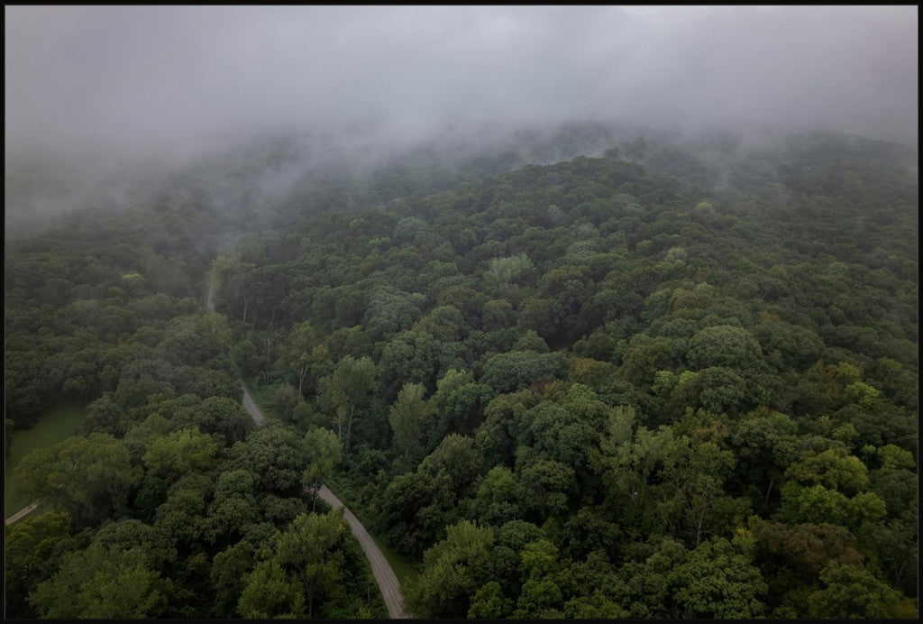 Fog Over the Bluffs Aerial