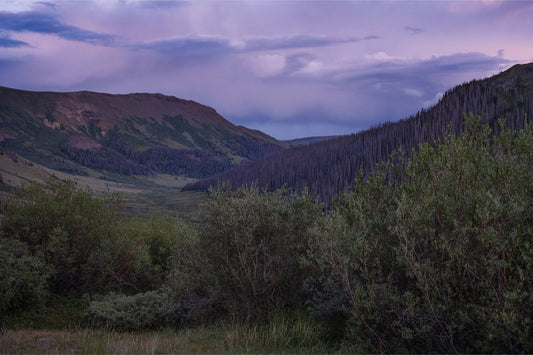 Violet Sunset I