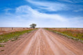West Texas Farm Road in Summer