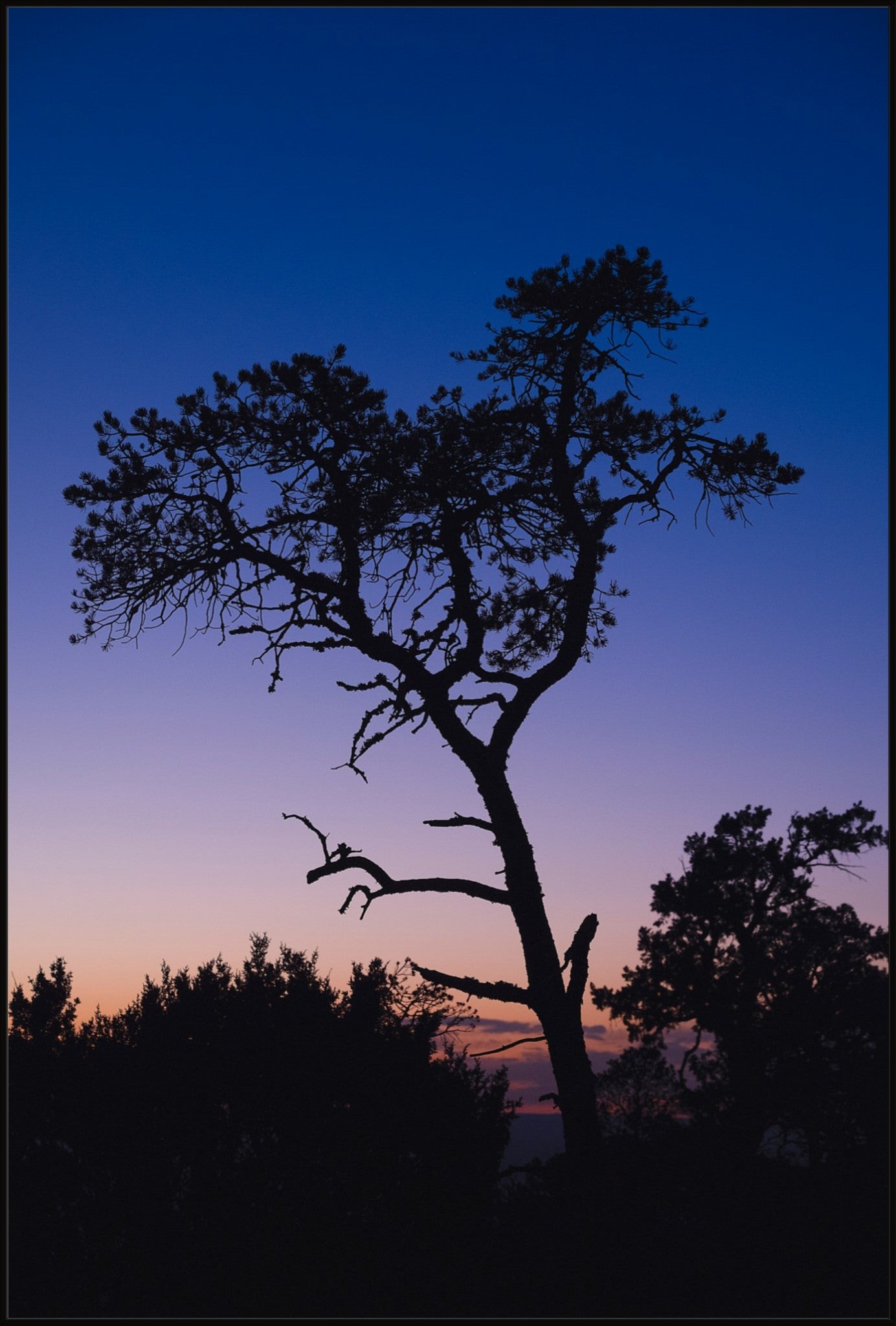 Heart of Lincoln National Forest