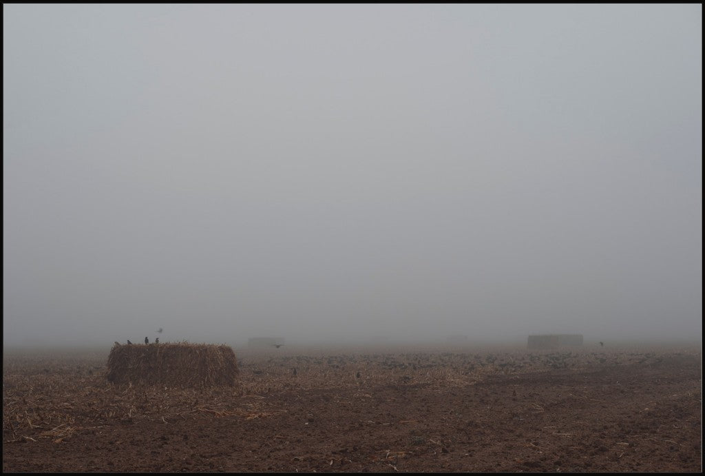 West Texas Winter Fog - 5
