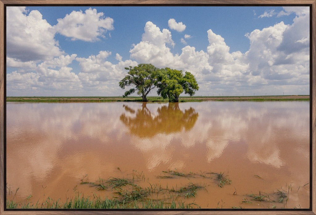 Muddy Reflections