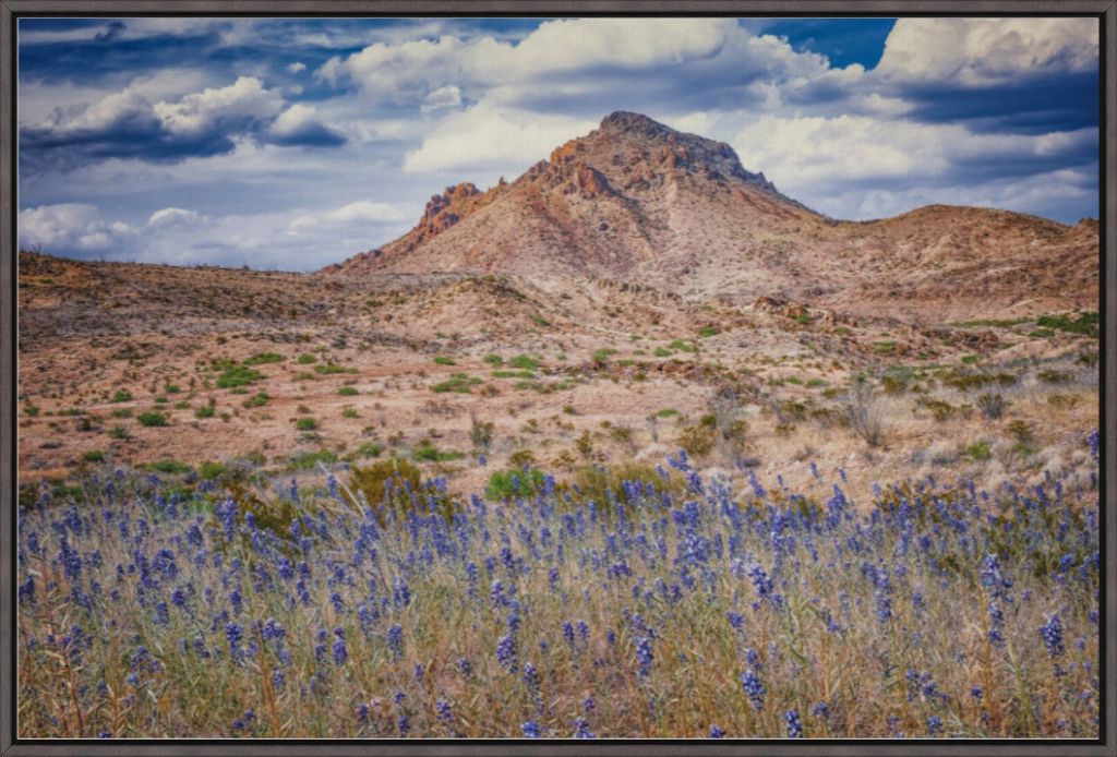 Bluebonnet Sky