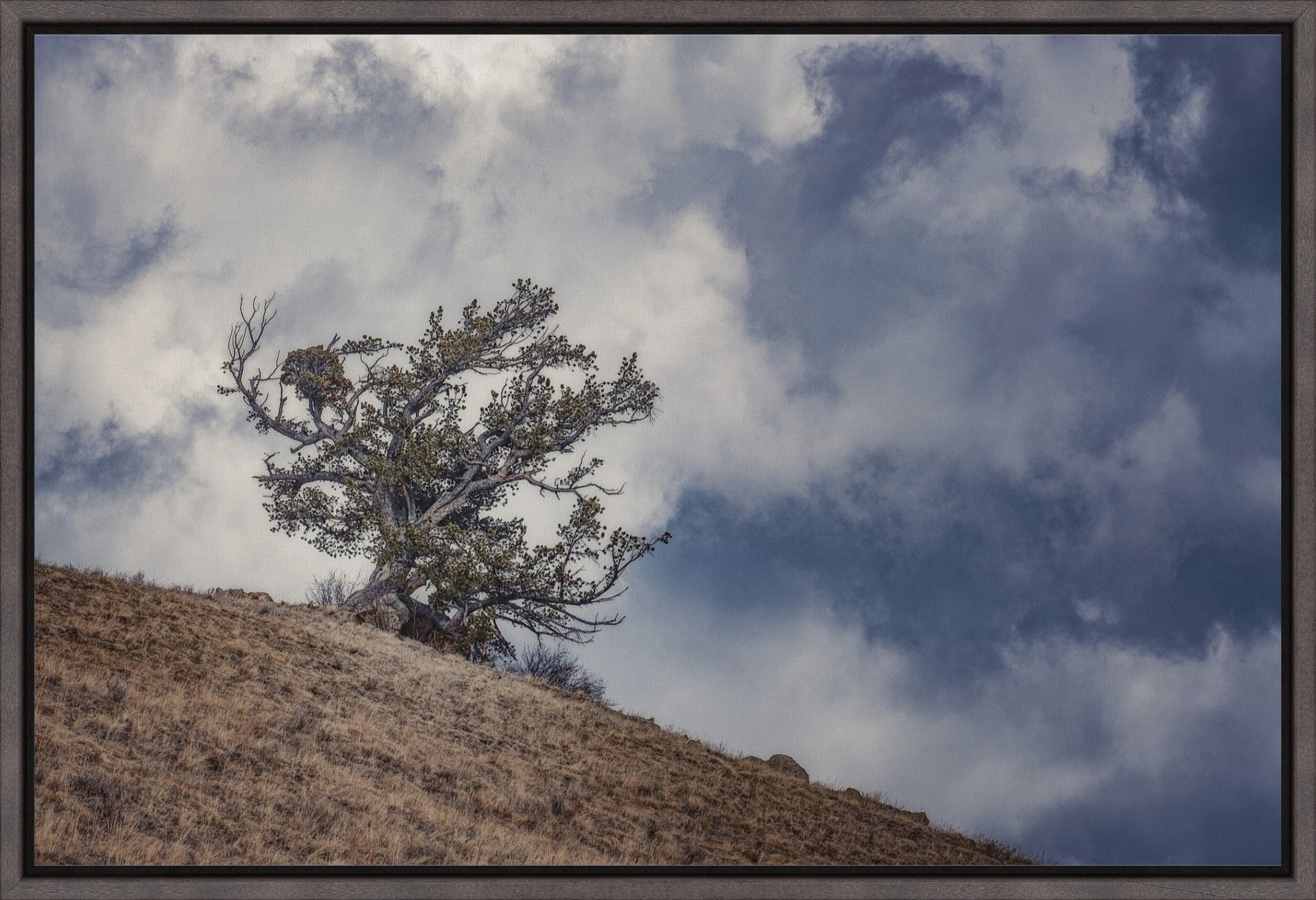 Sky and Land
