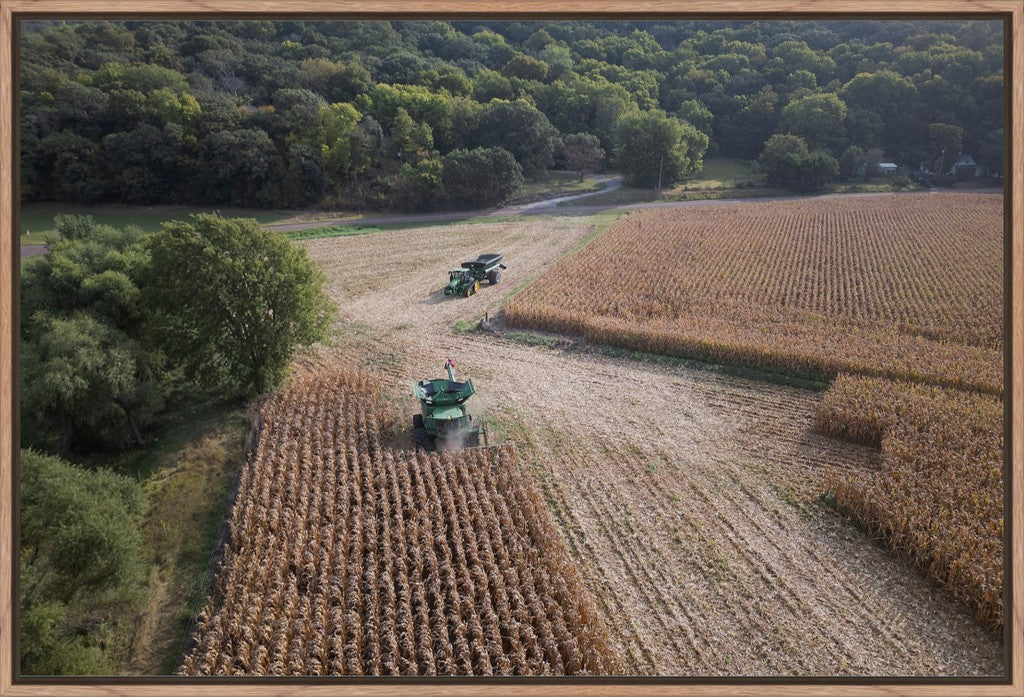 Aerial Corn Harvest III