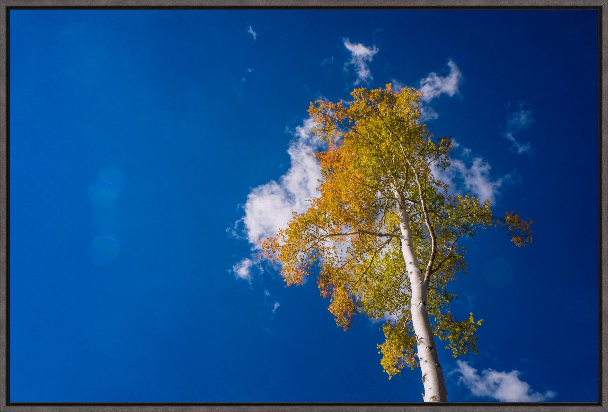 Aspen Cloud