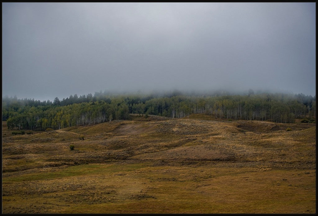 Low Clouds