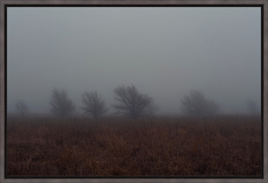 West Texas Winter Fog - 2