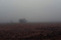 West Texas Winter Fog - 3