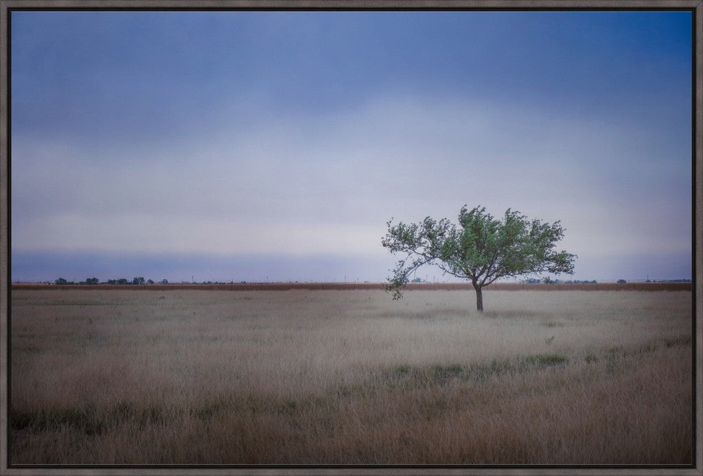 Solitary Tree in Blue