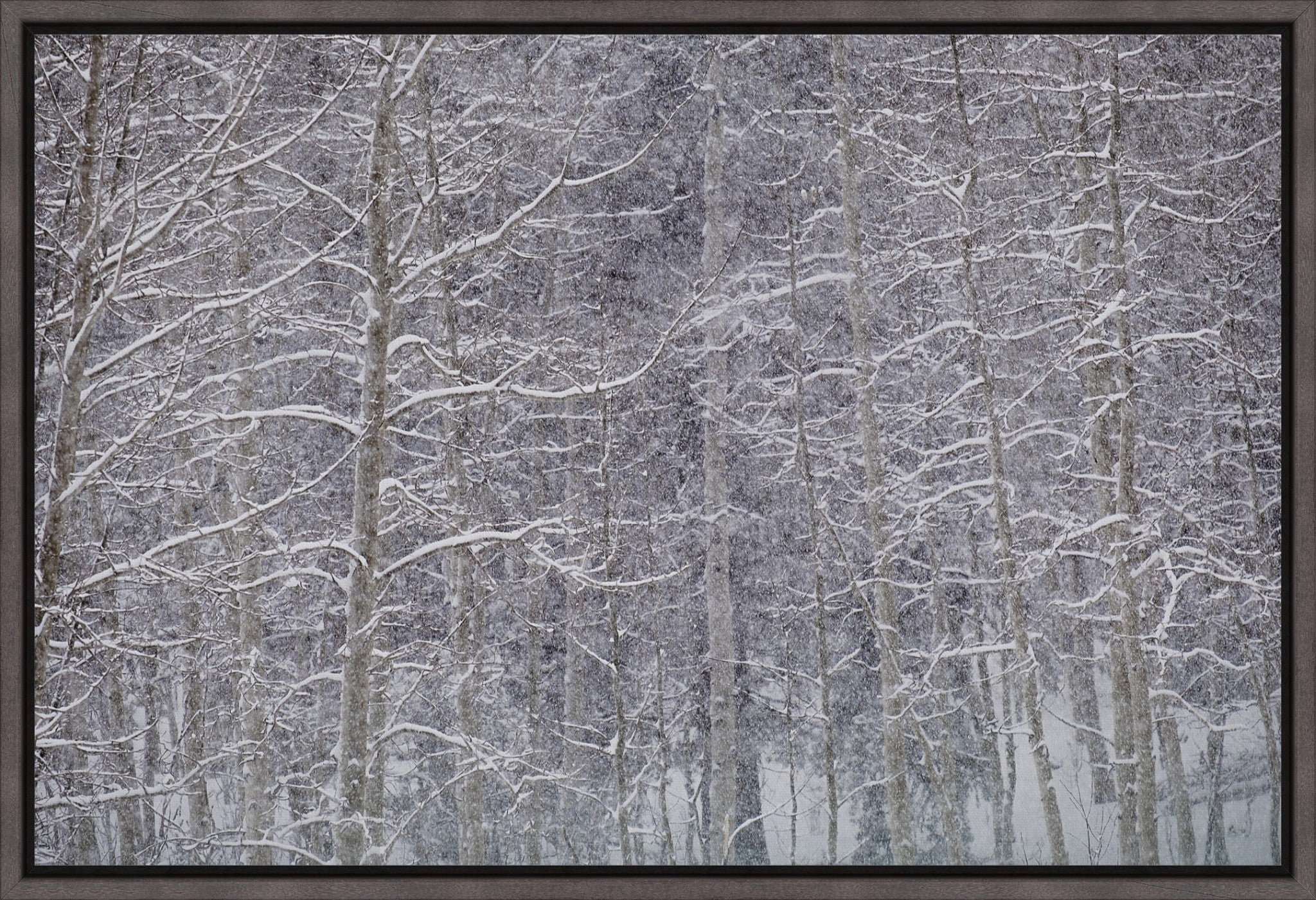 Heavy Snow & Forest Abstract II