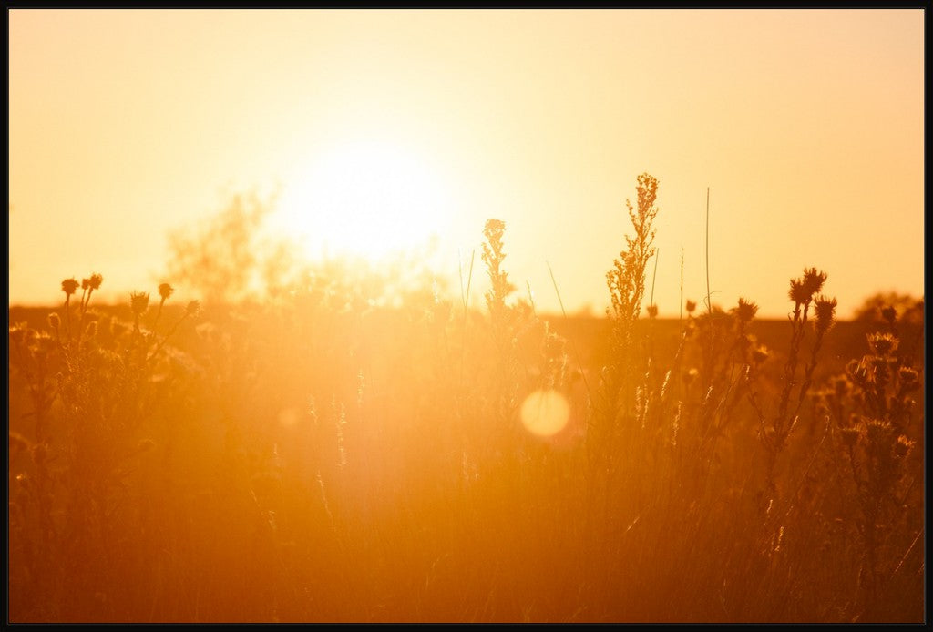 South Plains Sunset