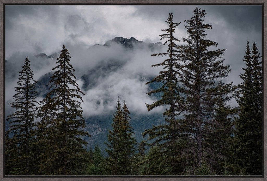 Banff Mountain View
