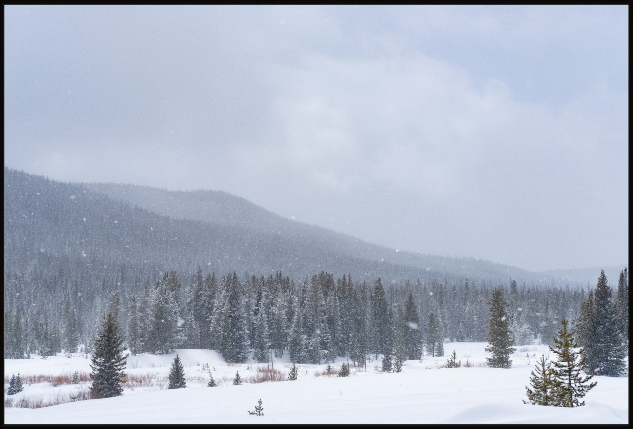 Late Winter Snowfall