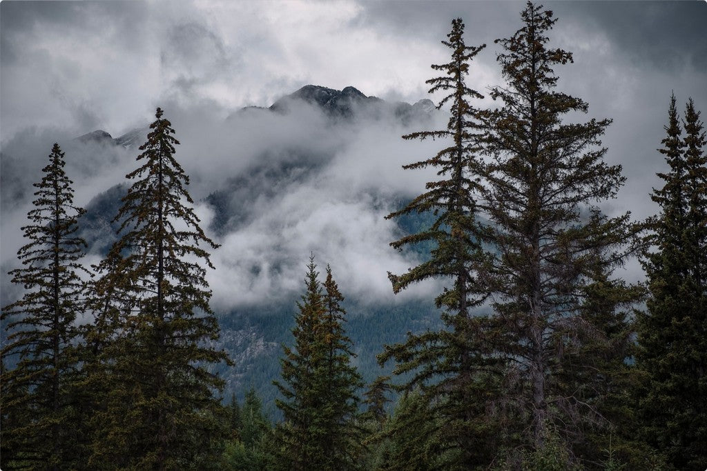 Banff Mountain View