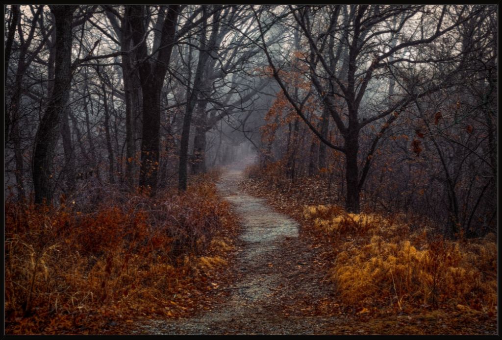 Misty Fall Path