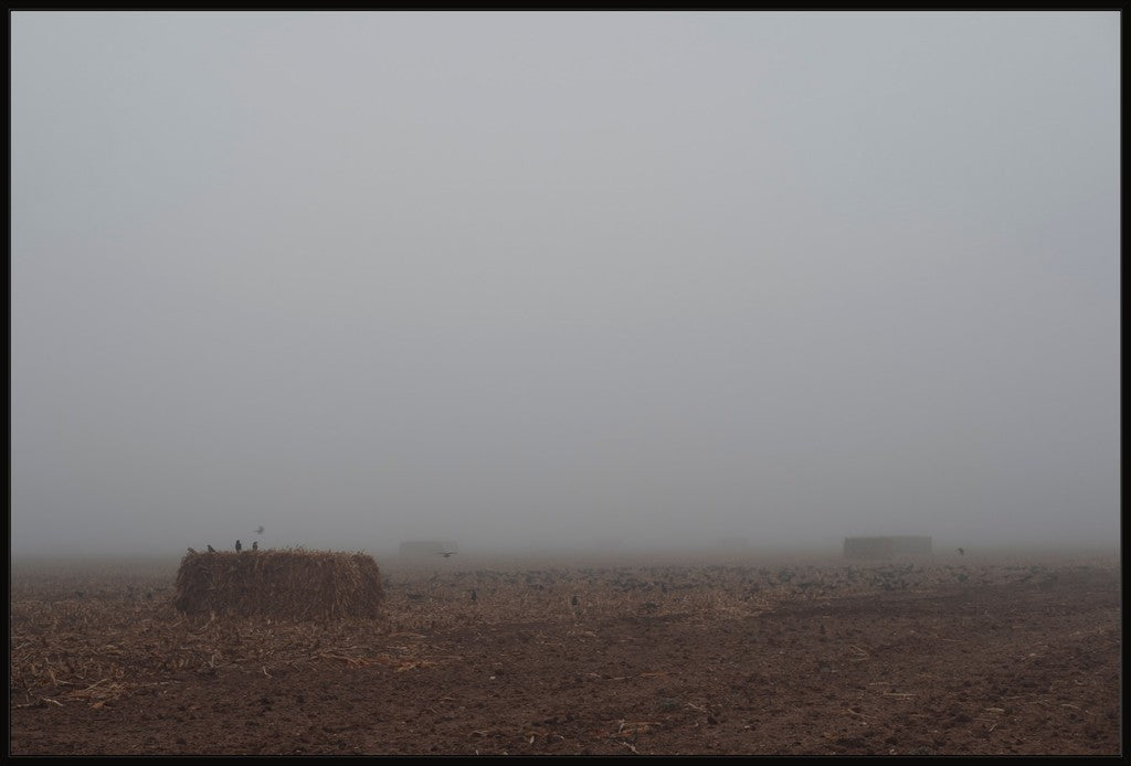 West Texas Winter Fog - 5