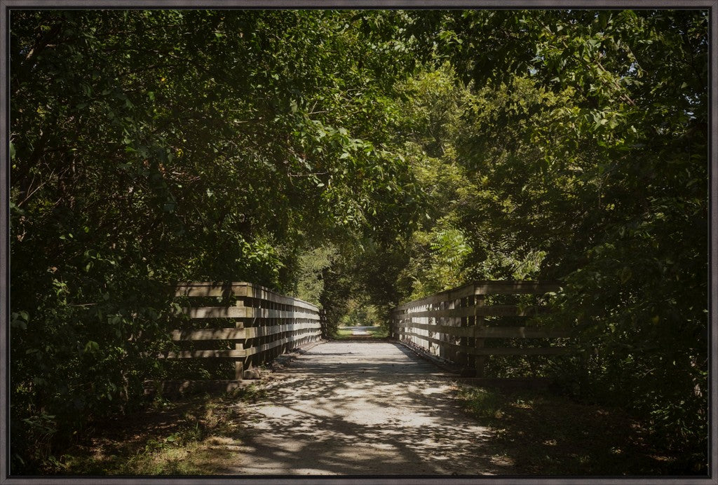 Rural Bike Path I