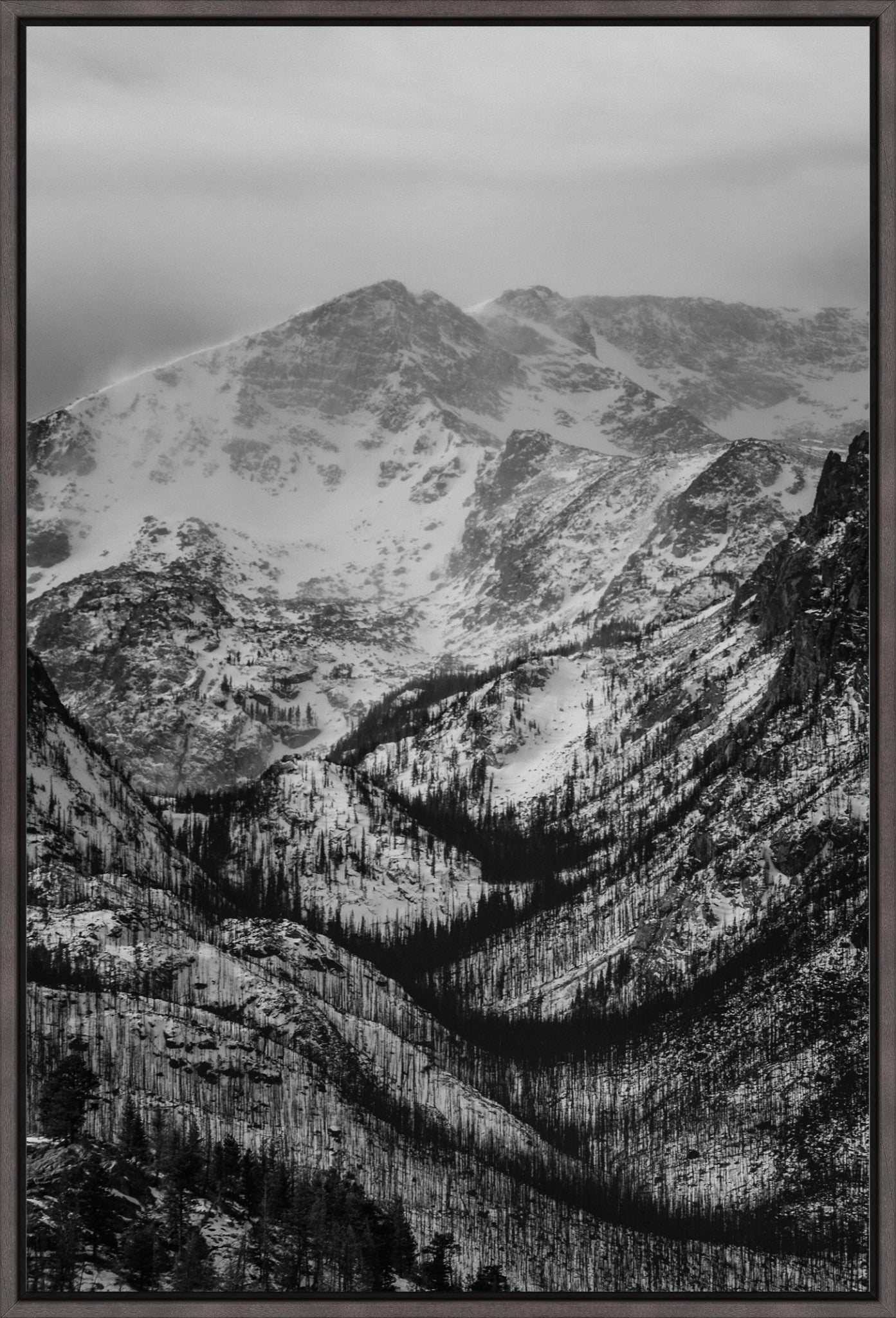 Winter Gulley