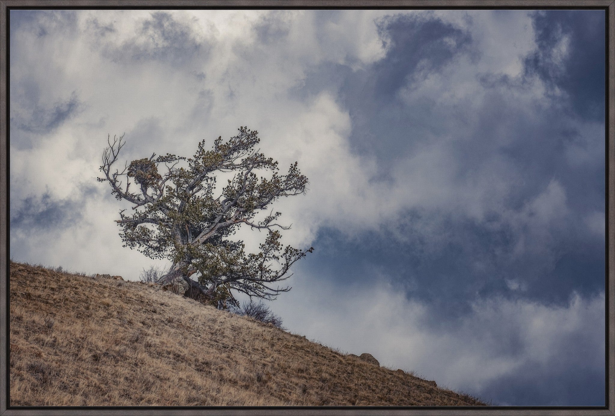 Sky and Land