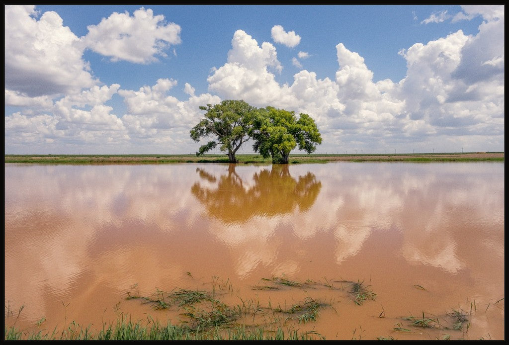 Muddy Reflections