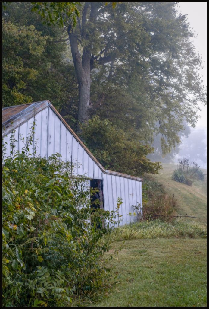 The Old Shed