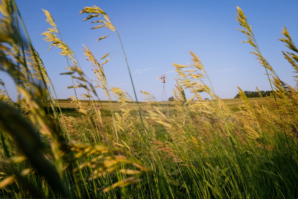 Historic Windmill and Prairie Grass