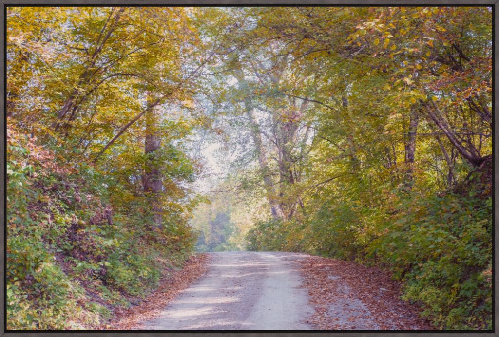 Midwest Fall Colors