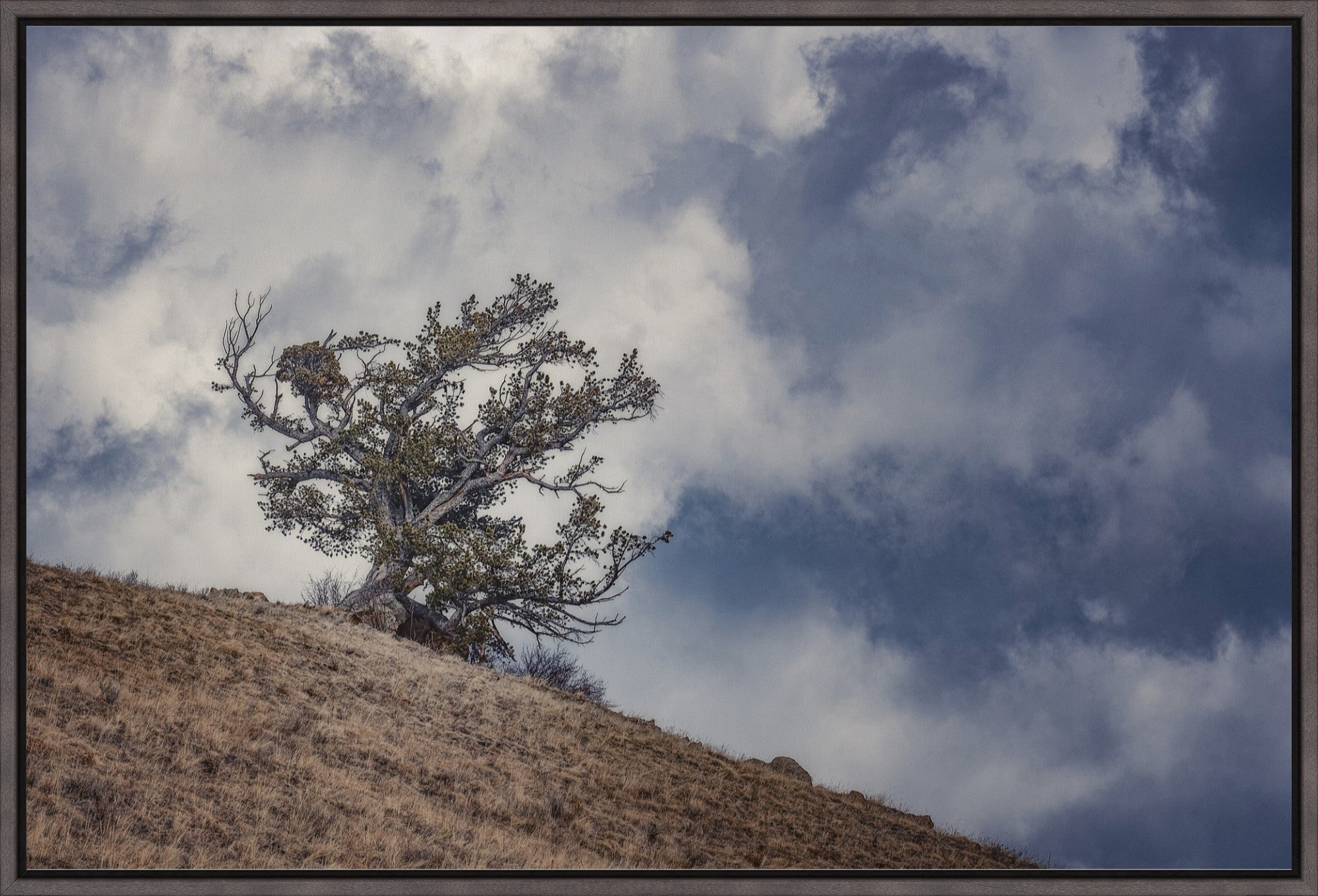 Sky and Land