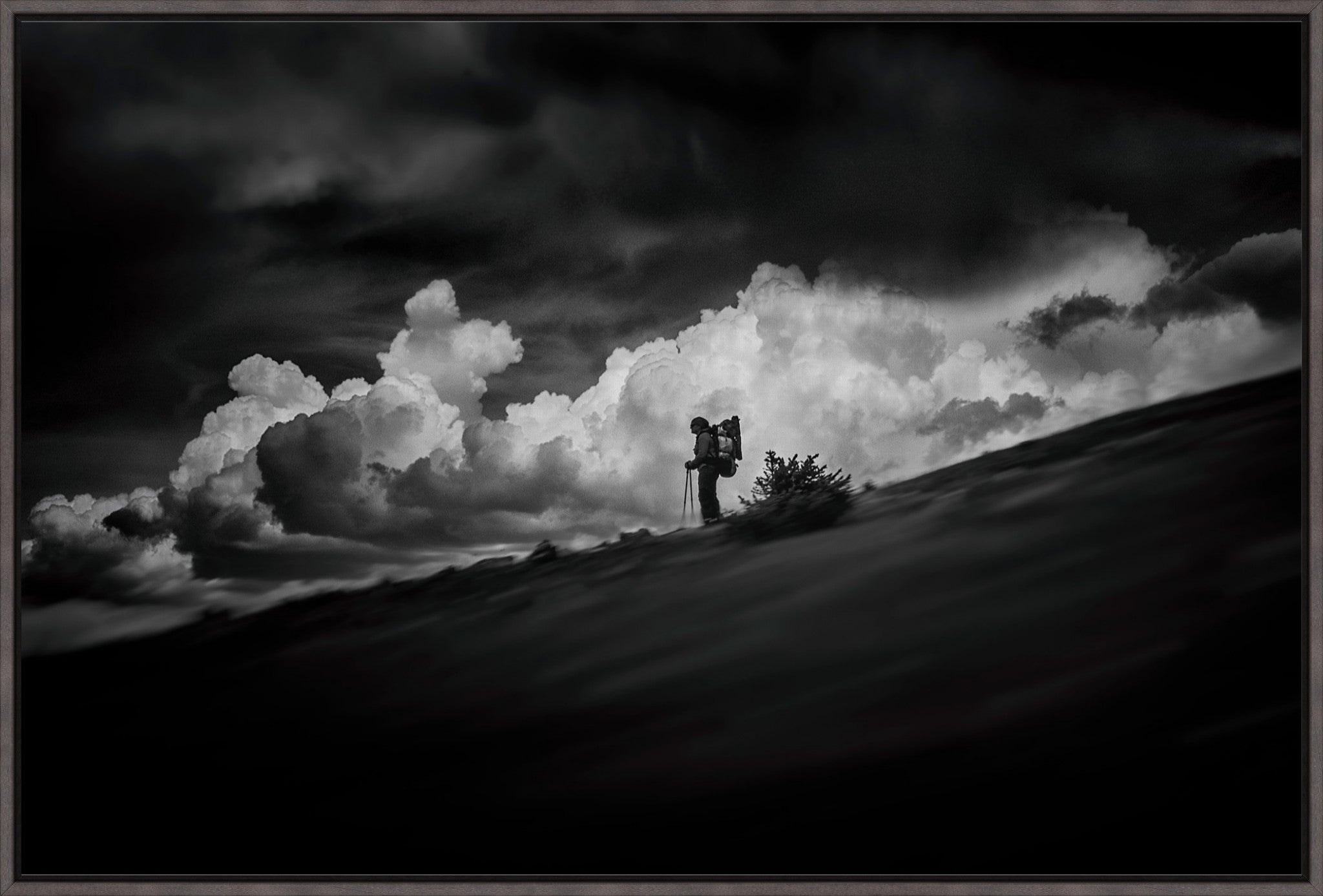 The Hiker