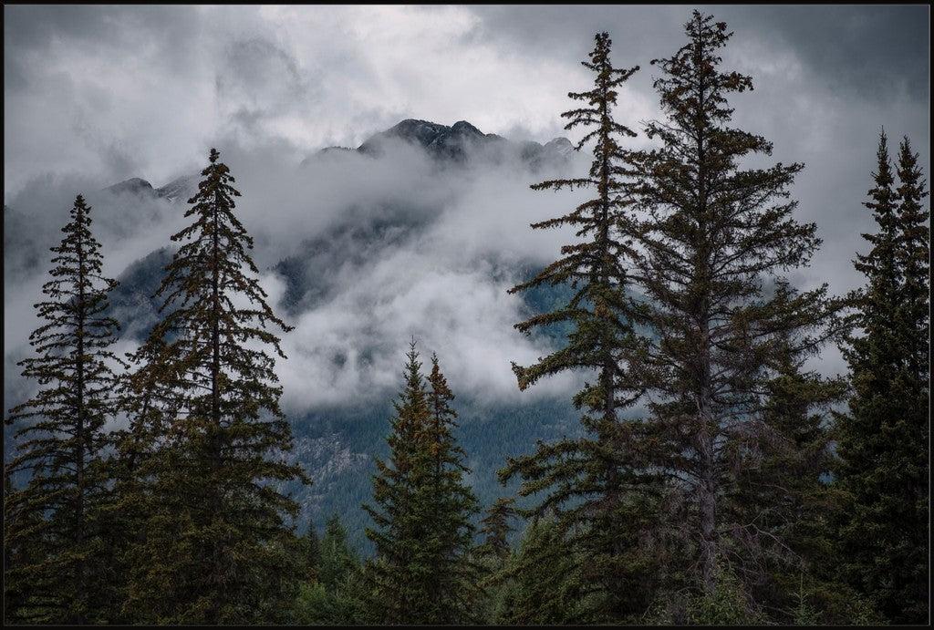 Banff Mountain View