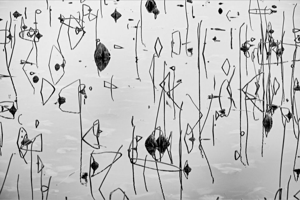 Monochrome Lake Abstract