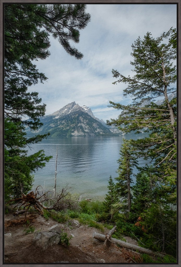 Montana Mountain View