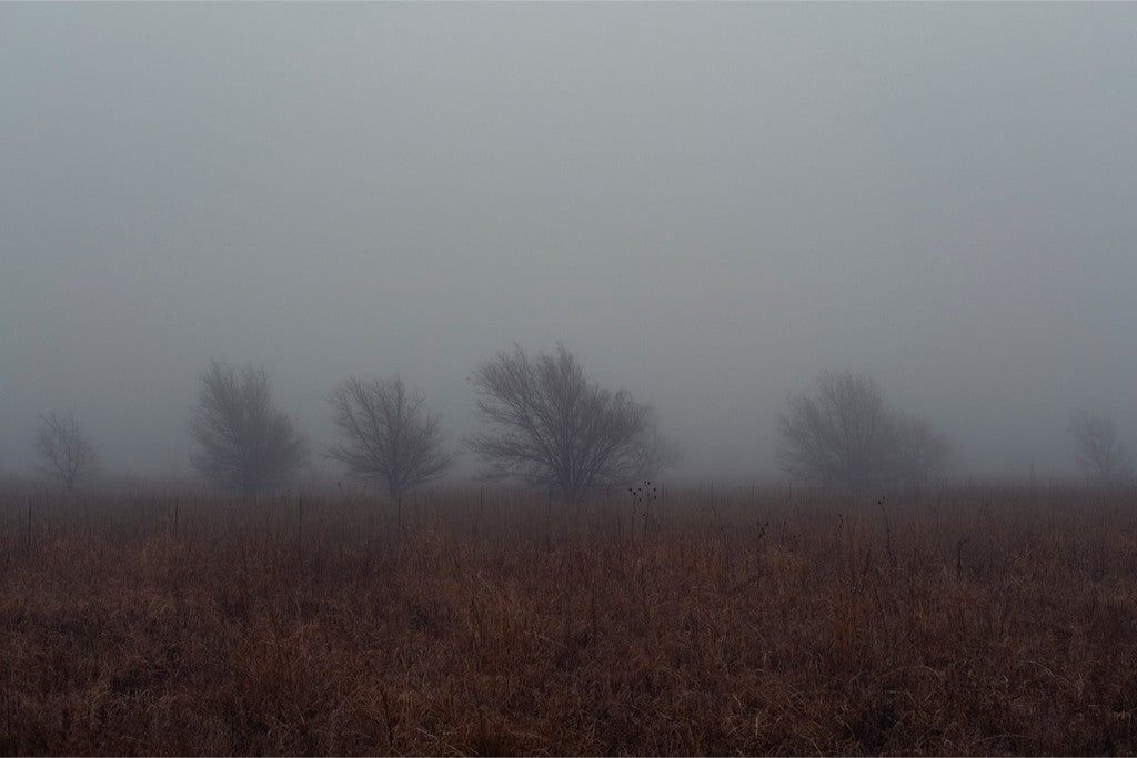 West Texas Winter Fog - 2