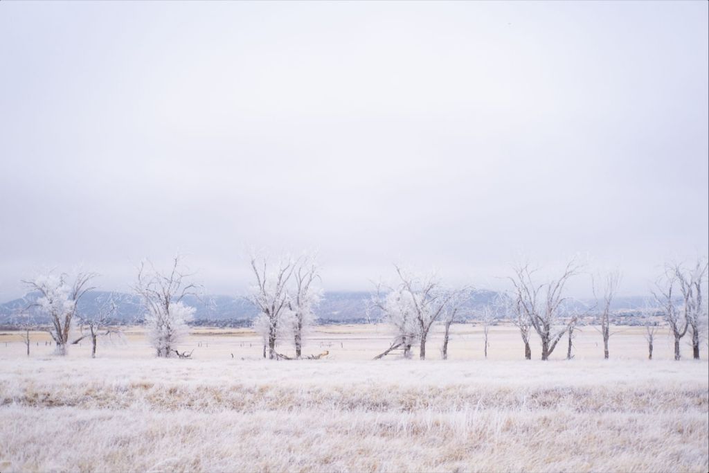 Frozen Enchantment III
