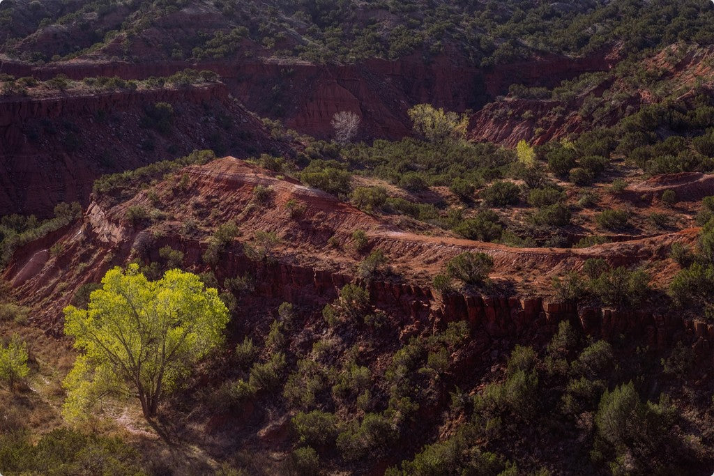 Canyon Spring