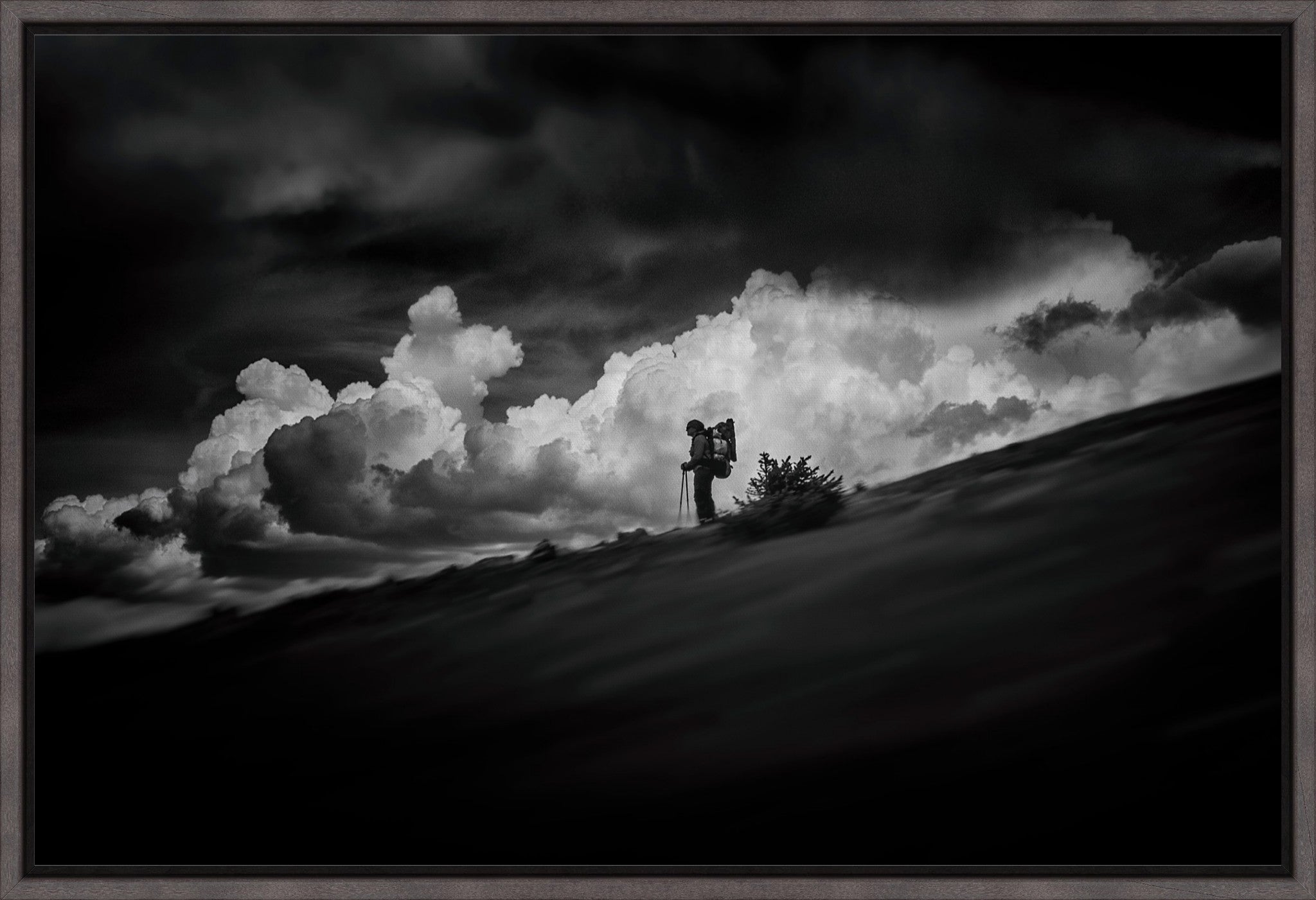 The Hiker