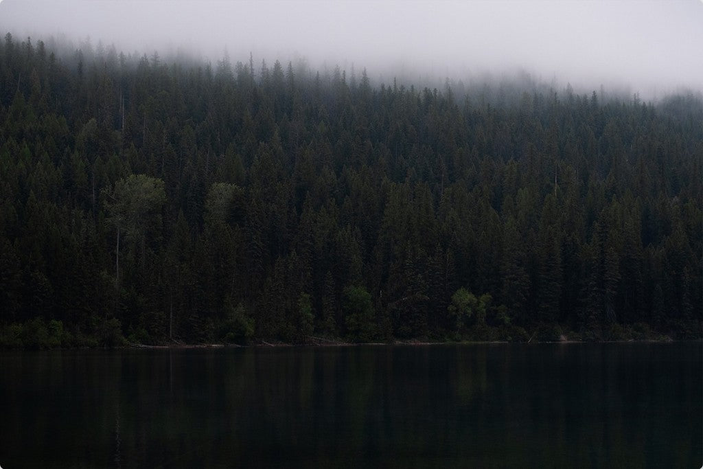 Montana Forest + Lake