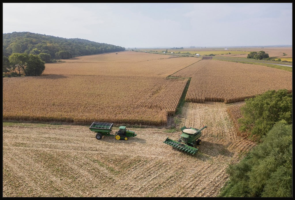 Aerial Corn Harvest I