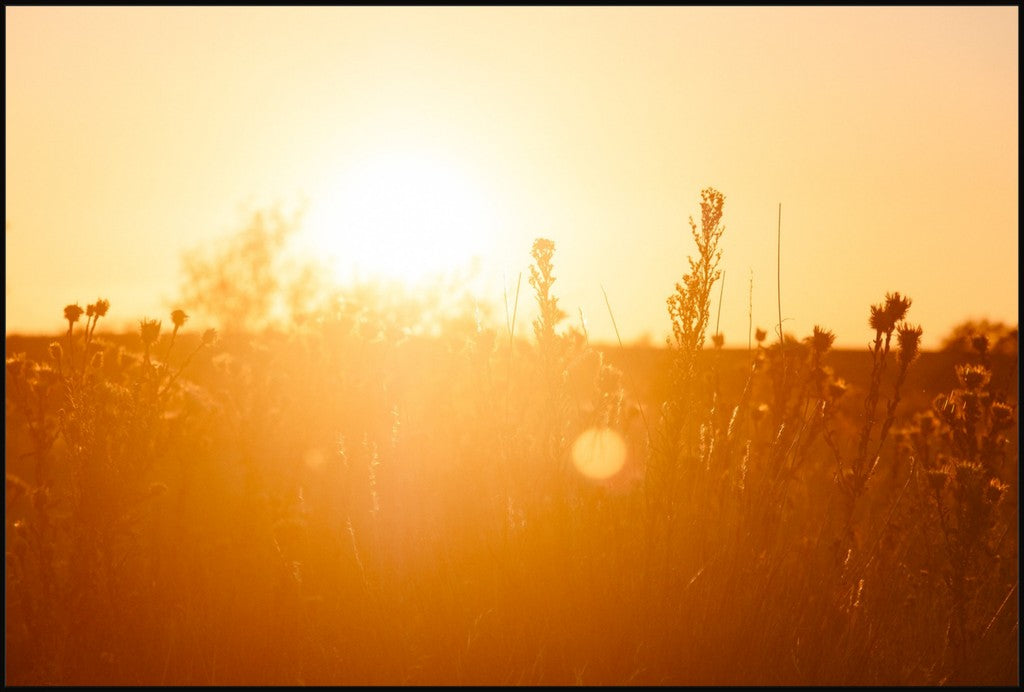 South Plains Sunset