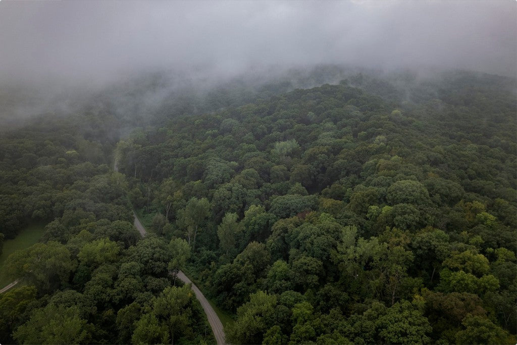 Fog Over the Bluffs Aerial