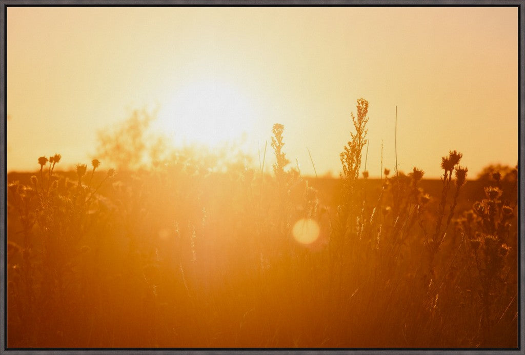 South Plains Sunset