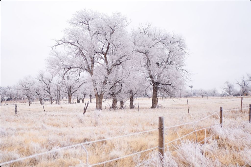 Frozen Enchantment II