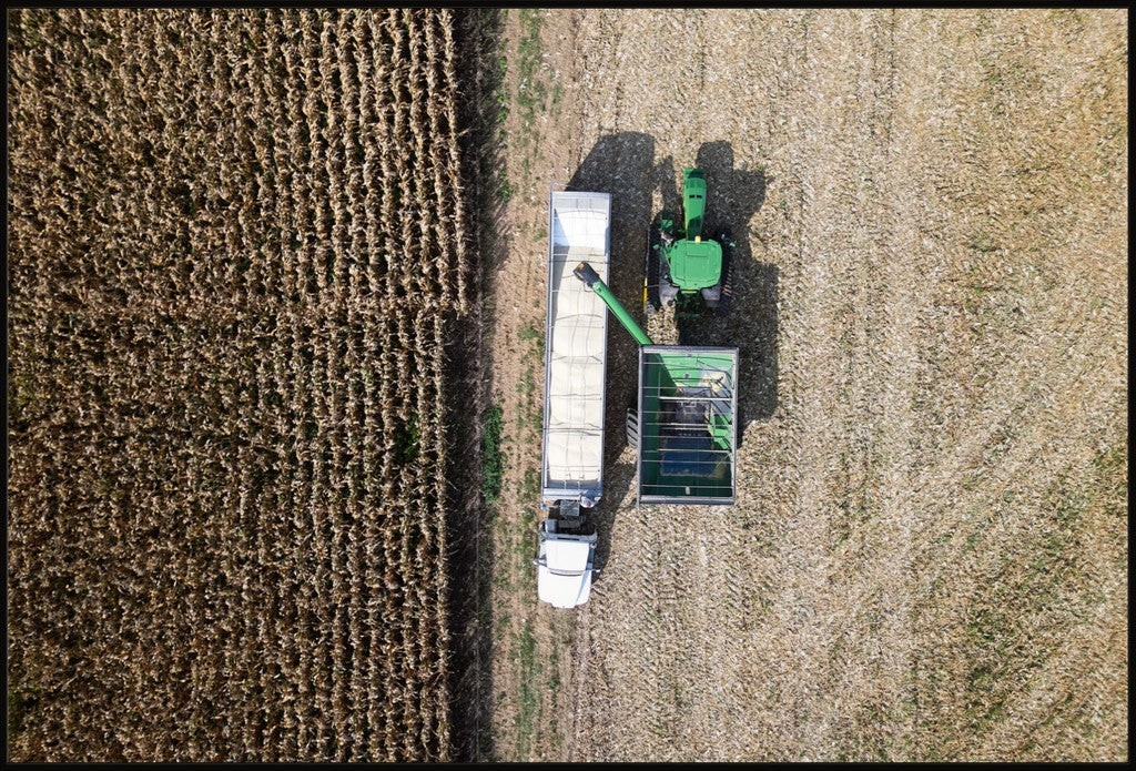 Aerial Corn Harvest IV