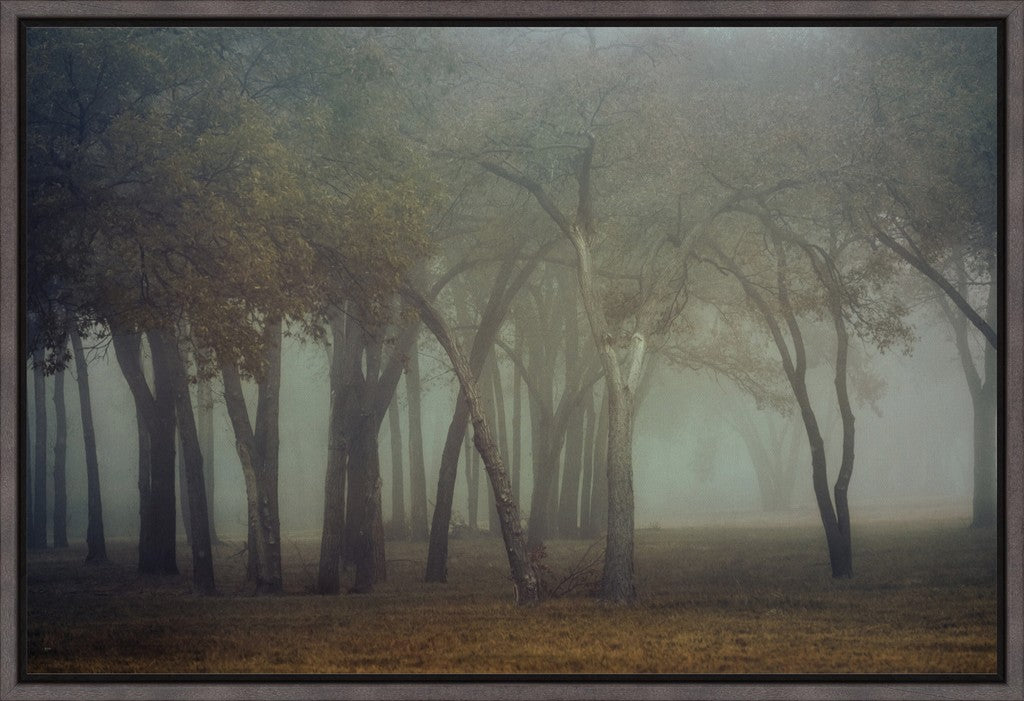 Canyon Lake Fog