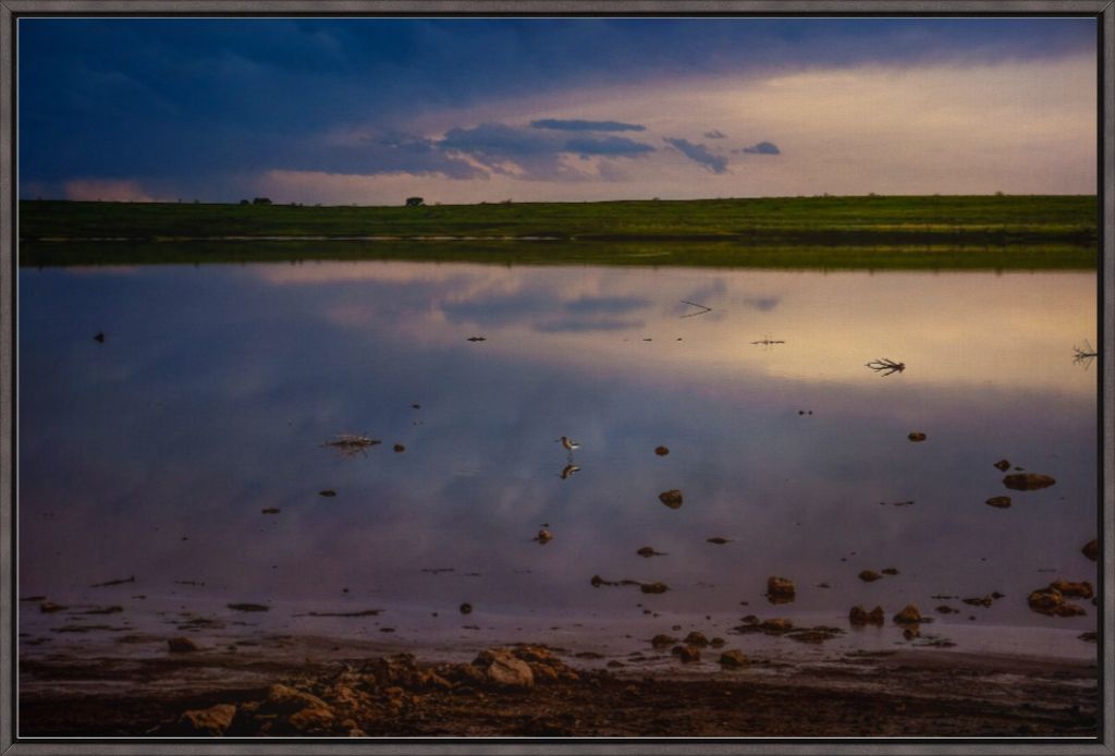 Muleshoe Reflections I