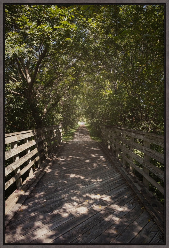 Rural Bike Path II