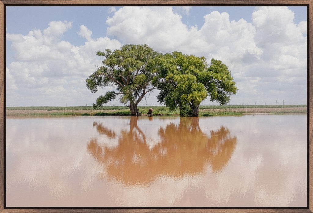 Soft Reflections