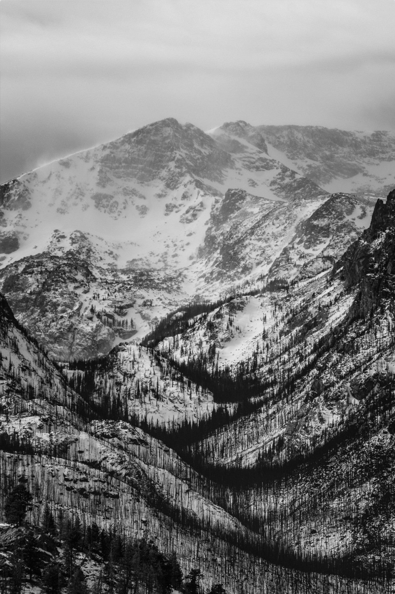 Winter Gulley