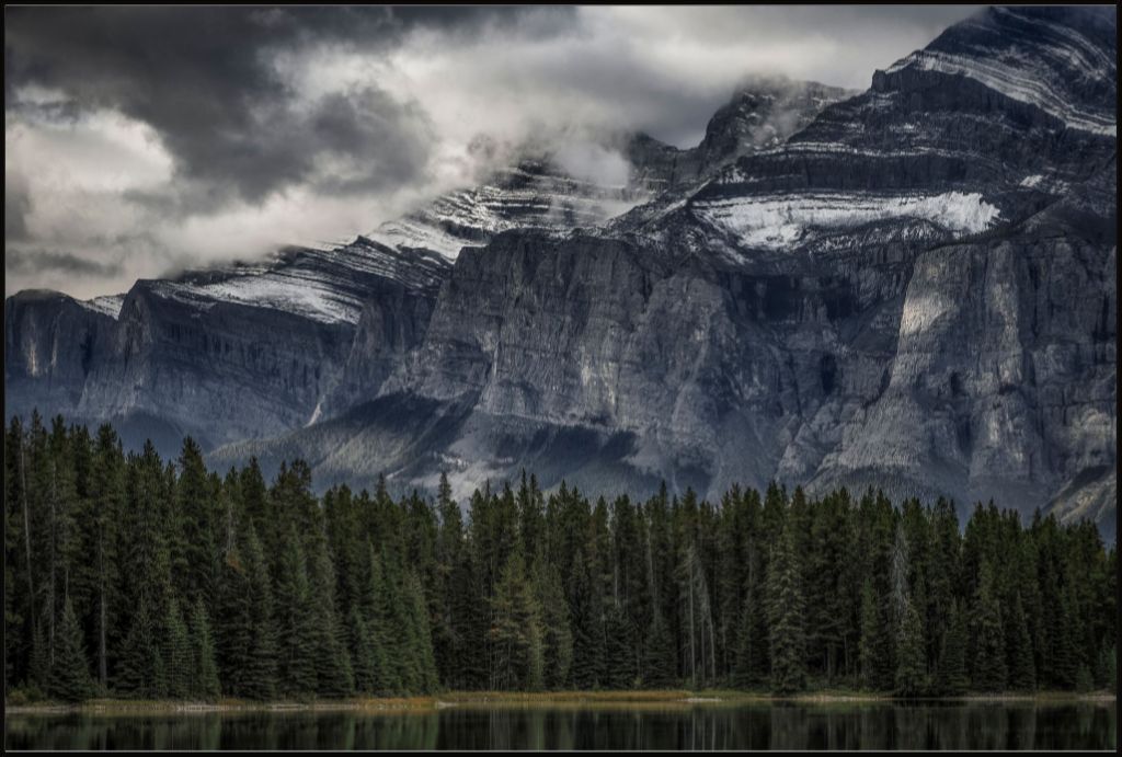 Green Forest and Mountain
